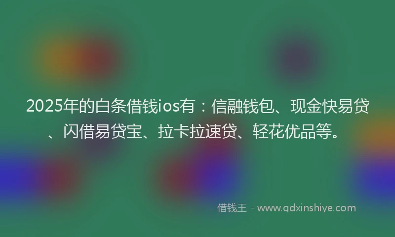 2025年的白条借钱ios有：信融钱包、现金快易贷、闪借易贷宝、拉卡拉速贷、轻花优品等。