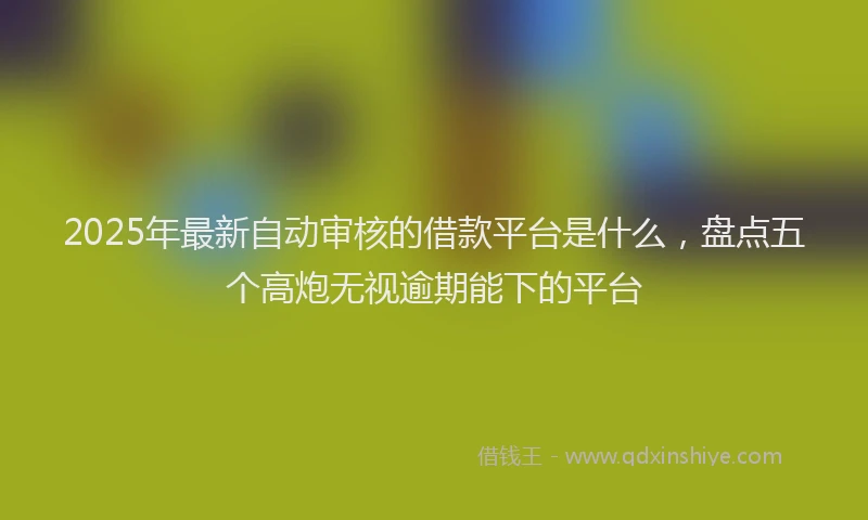 2025年最新自动审核的借款平台是什么，盘点五个高炮无视逾期能下的平台
