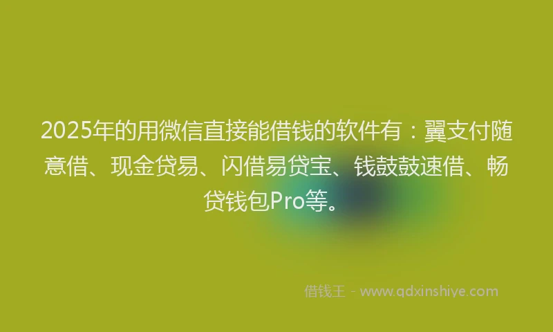 2025年的用微信直接能借钱的软件有：翼支付随意借、现金贷易、闪借易贷宝、钱鼓鼓速借、畅贷钱包Pro等。