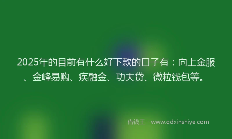 2025年的目前有什么好下款的口子有：向上金服、金峰易购、疾融金、功夫贷、微粒钱包等。