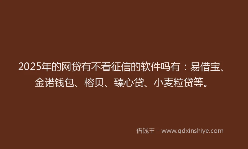 2025年的网贷有不看征信的软件吗有：易借宝、金诺钱包、榕贝、臻心贷、小麦粒贷等。