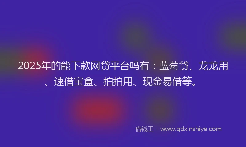 2025年的能下款网贷平台吗有：蓝莓贷、龙龙用、速借宝盒、拍拍用、现金易借等。