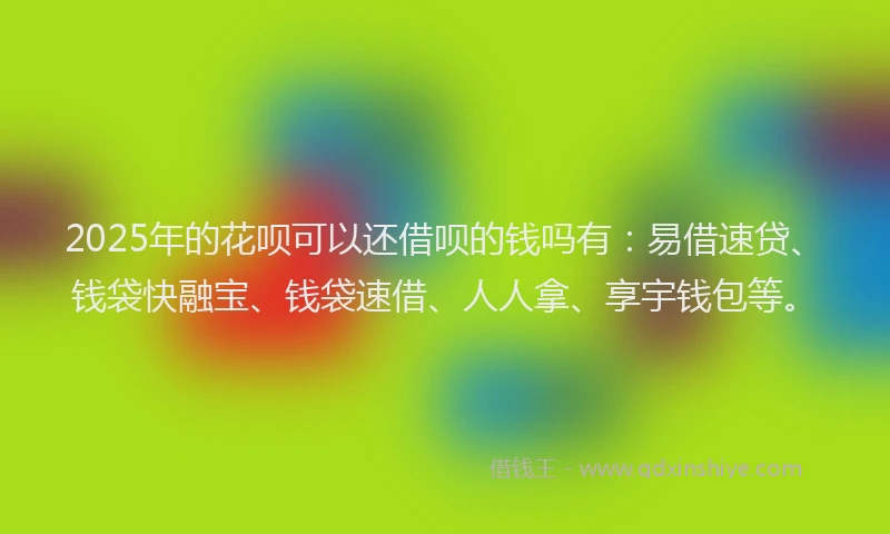 2025年的花呗可以还借呗的钱吗有：易借速贷、钱袋快融宝、钱袋速借、人人拿、享宇钱包等。