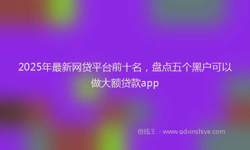 2025年最新网贷平台前十名，盘点五个黑户可以做大额贷款app