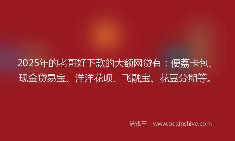 2025年的老哥好下款的大额网贷有：便荔卡包、现金贷易宝、洋洋花呗、飞融宝、花豆分期等。