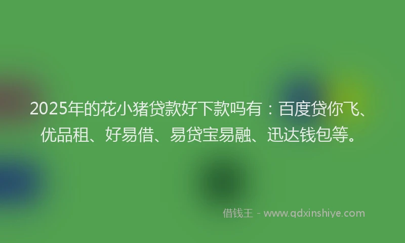 2025年的花小猪贷款好下款吗有：百度贷你飞、优品租、好易借、易贷宝易融、迅达钱包等。