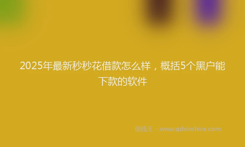 2025年最新秒秒花借款怎么样，概括5个黑户能下款的软件