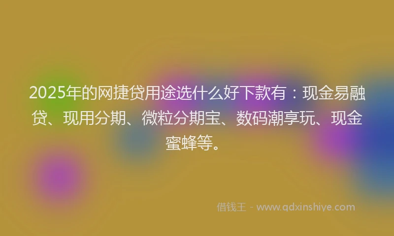 2025年的网捷贷用途选什么好下款有：现金易融贷、现用分期、微粒分期宝、数码潮享玩、现金蜜蜂等。