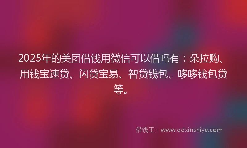 2025年的美团借钱用微信可以借吗有：朵拉购、用钱宝速贷、闪贷宝易、智贷钱包、哆哆钱包贷等。