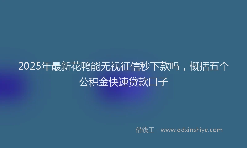 2025年最新花鸭能无视征信秒下款吗，概括五个公积金快速贷款口子