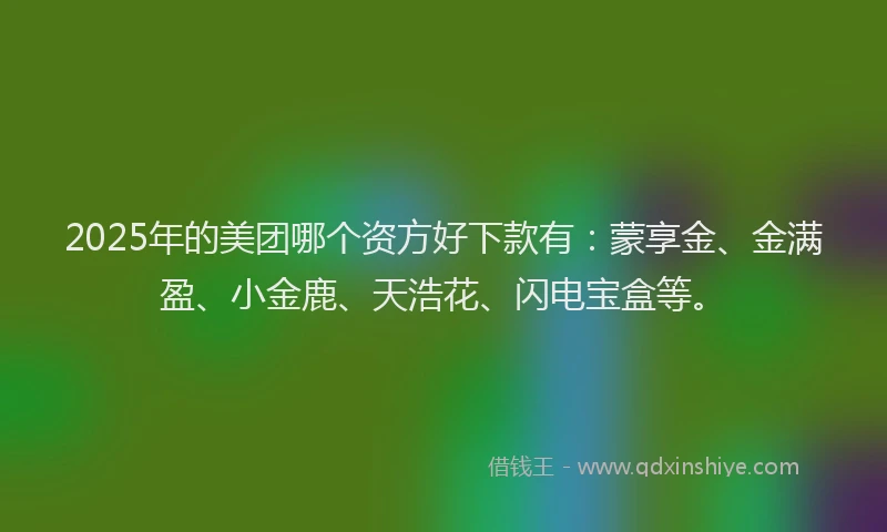 2025年的美团哪个资方好下款有：蒙享金、金满盈、小金鹿、天浩花、闪电宝盒等。