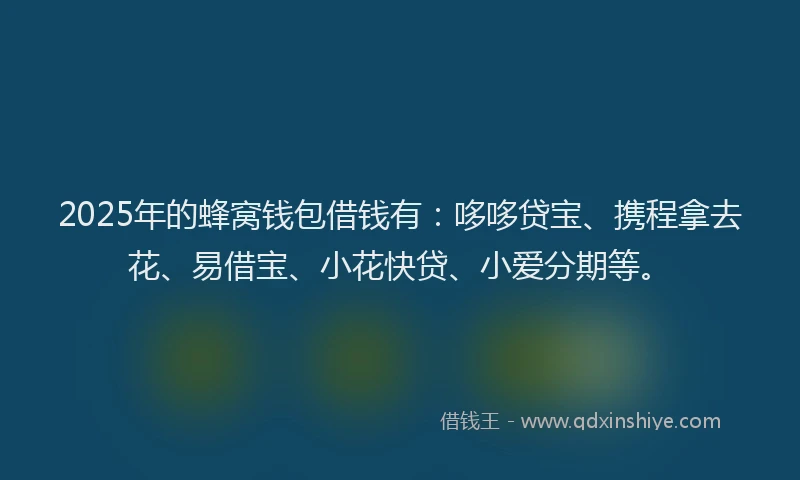 2025年的蜂窝钱包借钱有：哆哆贷宝、携程拿去花、易借宝、小花快贷、小爱分期等。