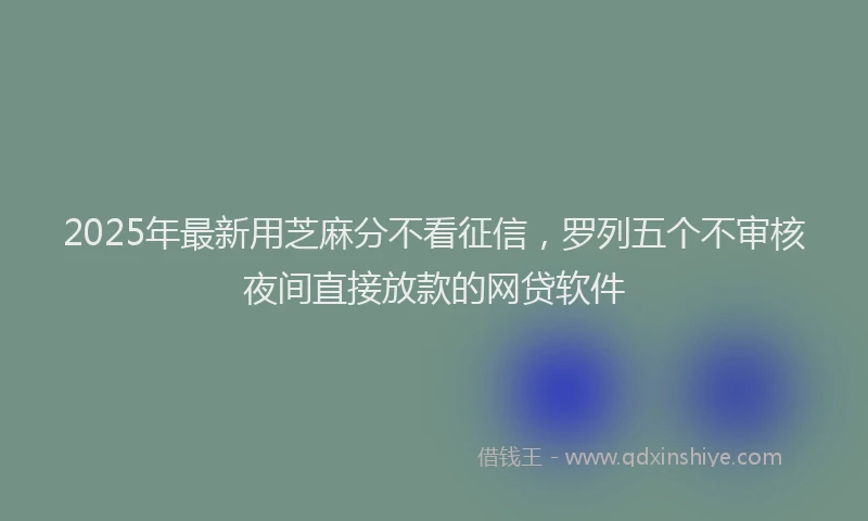2025年最新用芝麻分不看征信，罗列五个不审核夜间直接放款的网贷软件