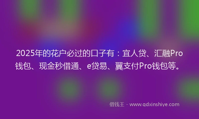 2025年的花户必过的口子有：宜人贷、汇融Pro钱包、现金秒借通、e贷易、翼支付Pro钱包等。