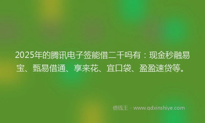 2025年的腾讯电子签能借二千吗有：现金秒融易宝、甄易借通、享来花、宜口袋、盈盈速贷等。