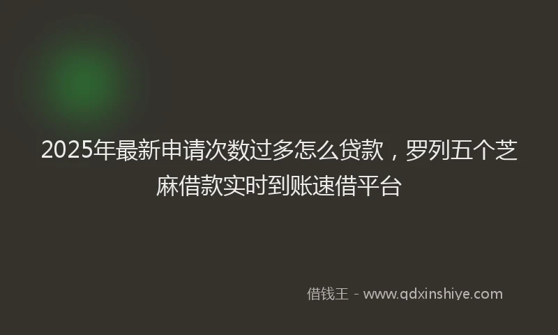 2025年最新申请次数过多怎么贷款，罗列五个芝麻借款实时到账速借平台
