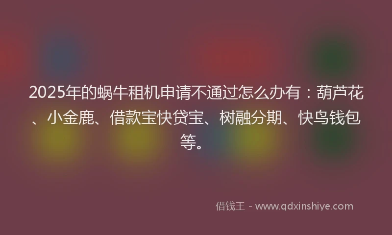 2025年的蜗牛租机申请不通过怎么办有：葫芦花、小金鹿、借款宝快贷宝、树融分期、快鸟钱包等。