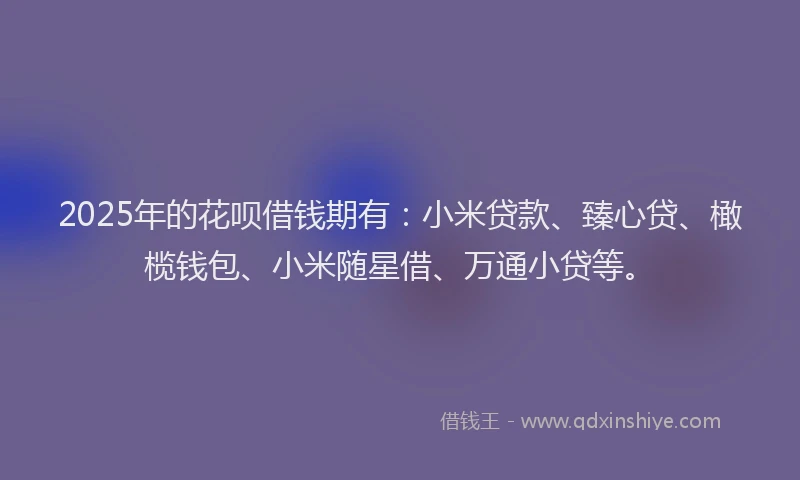 2025年的花呗借钱期有：小米贷款、臻心贷、橄榄钱包、小米随星借、万通小贷等。