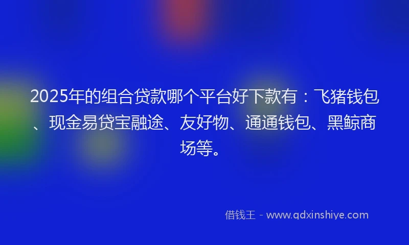 2025年的组合贷款哪个平台好下款有：飞猪钱包、现金易贷宝融途、友好物、通通钱包、黑鲸商场等。