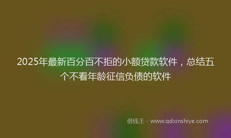 2025年最新百分百不拒的小额贷款软件，总结五个不看年龄征信负债的软件