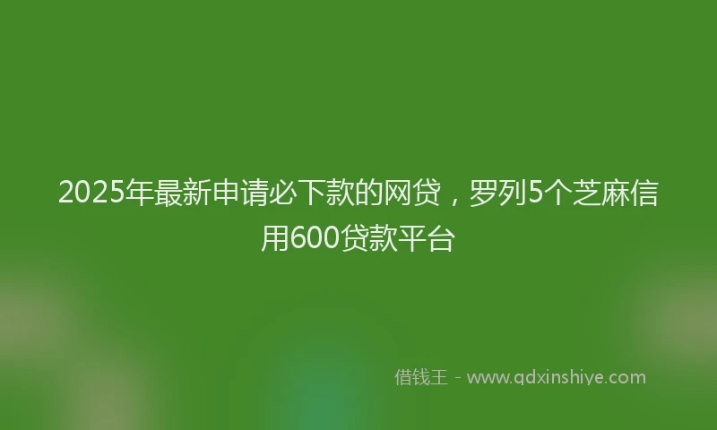 2025年最新申请必下款的网贷，罗列5个芝麻信用600贷款平台