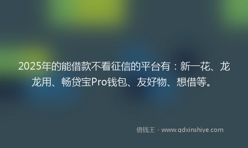 2025年的能借款不看征信的平台有：新一花、龙龙用、畅贷宝Pro钱包、友好物、想借等。