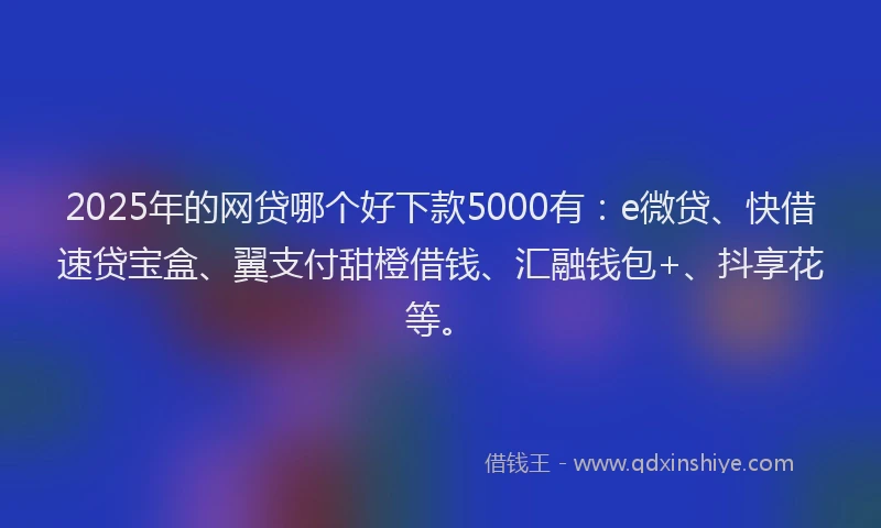 2025年的网贷哪个好下款5000有：e微贷、快借速贷宝盒、翼支付甜橙借钱、汇融钱包+、抖享花等。