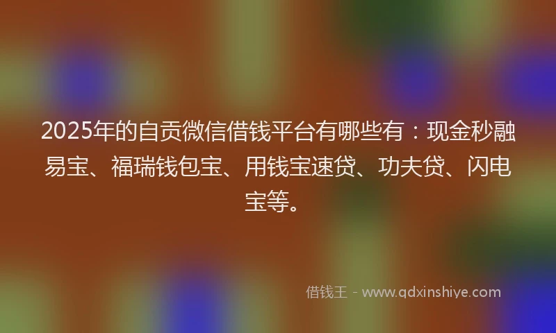 2025年的自贡微信借钱平台有哪些有：现金秒融易宝、福瑞钱包宝、用钱宝速贷、功夫贷、闪电宝等。