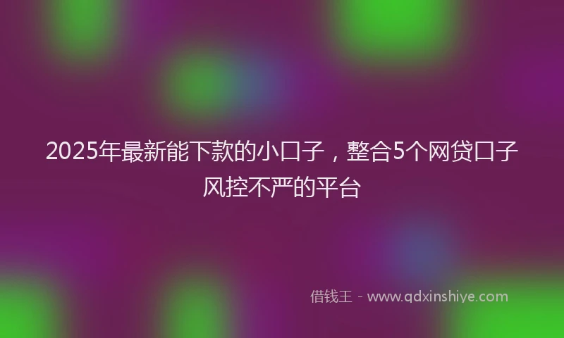 2025年最新能下款的小口子，整合5个网贷口子风控不严的平台
