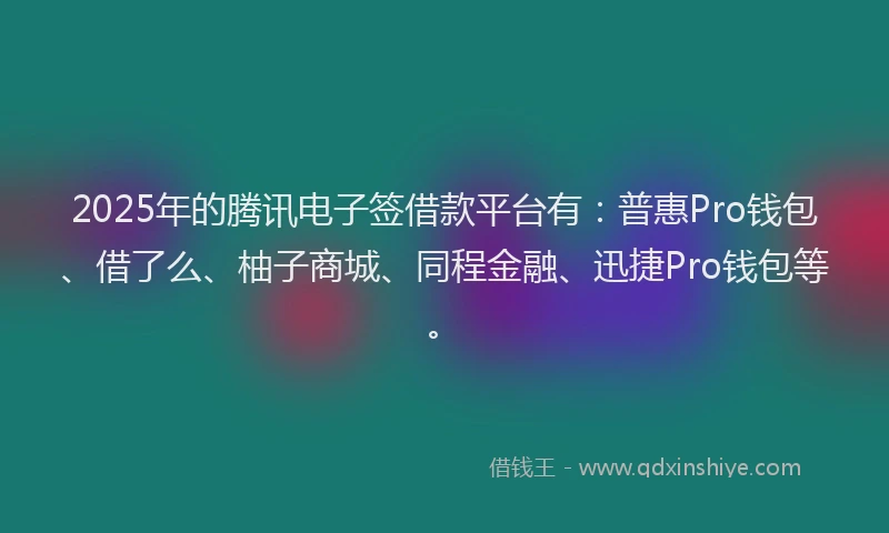 2025年的腾讯电子签借款平台有：普惠Pro钱包、借了么、柚子商城、同程金融、迅捷Pro钱包等。