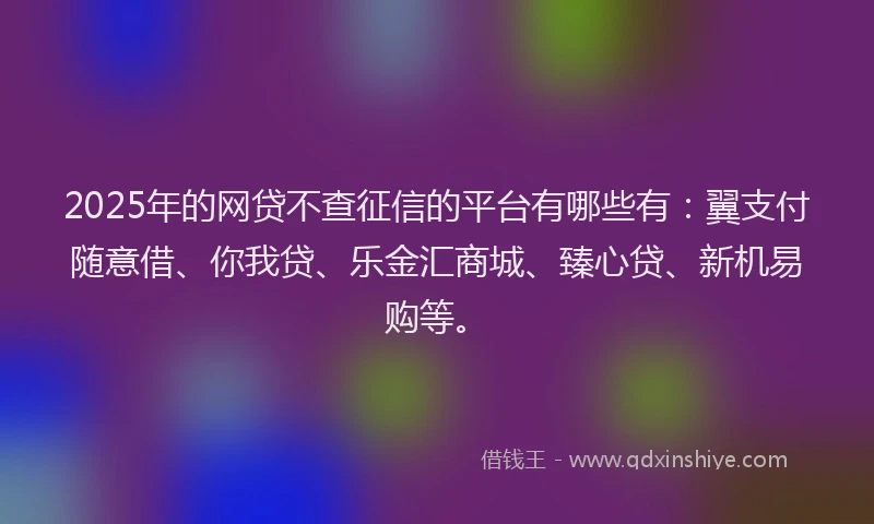 2025年的网贷不查征信的平台有哪些有：翼支付随意借、你我贷、乐金汇商城、臻心贷、新机易购等。
