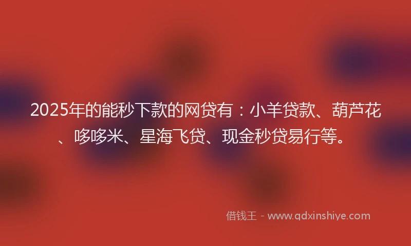 2025年的能秒下款的网贷有：小羊贷款、葫芦花、哆哆米、星海飞贷、现金秒贷易行等。