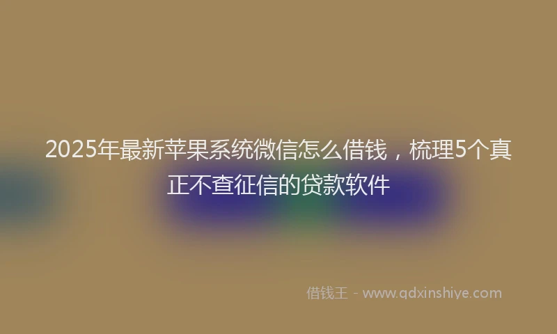 2025年最新苹果系统微信怎么借钱，梳理5个真正不查征信的贷款软件