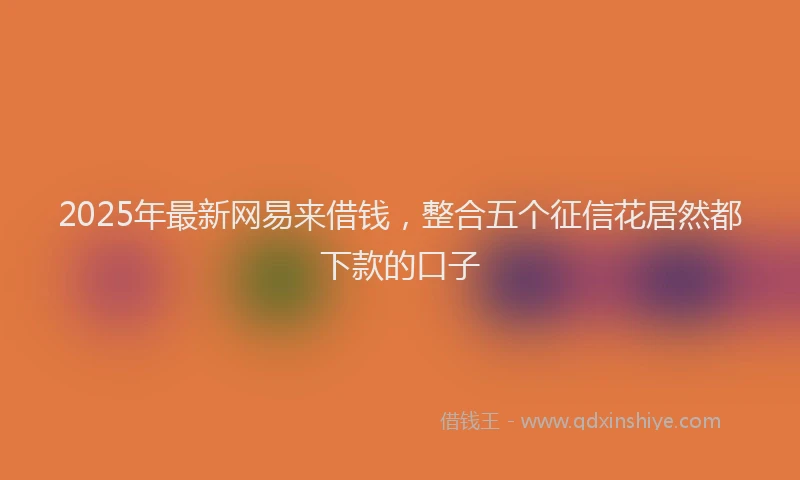 2025年最新网易来借钱，整合五个征信花居然都下款的口子