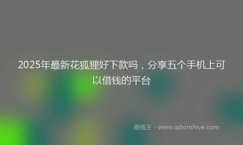 2025年最新花狐狸好下款吗，分享五个手机上可以借钱的平台