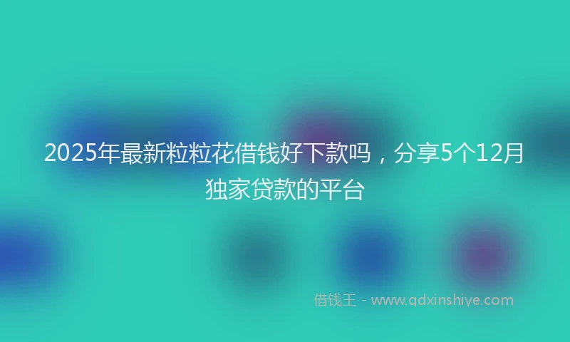2025年最新粒粒花借钱好下款吗，分享5个12月独家贷款的平台