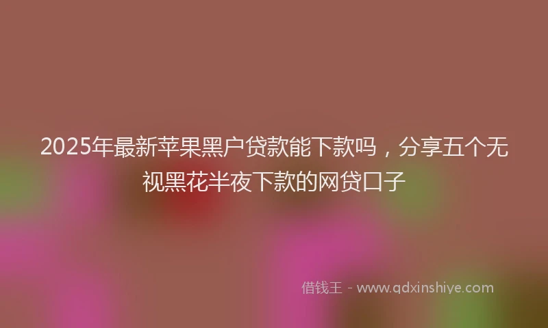 2025年最新苹果黑户贷款能下款吗，分享五个无视黑花半夜下款的网贷口子