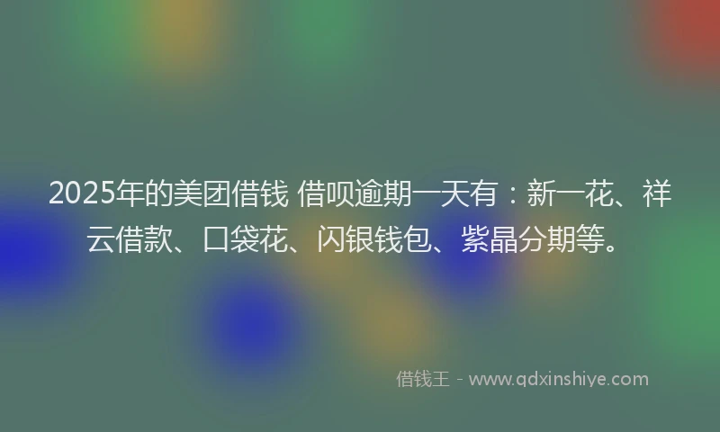 2025年的美团借钱 借呗逾期一天有：新一花、祥云借款、口袋花、闪银钱包、紫晶分期等。