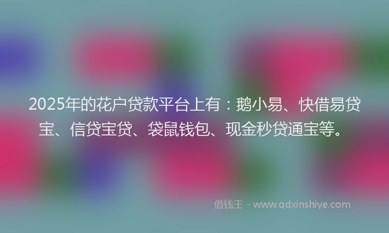 2025年的花户贷款平台上有：鹅小易、快借易贷宝、信贷宝贷、袋鼠钱包、现金秒贷通宝等。