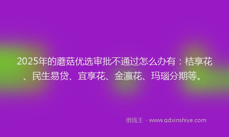 2025年的蘑菇优选审批不通过怎么办有：桔享花、民生易贷、宜享花、金瀛花、玛瑙分期等。