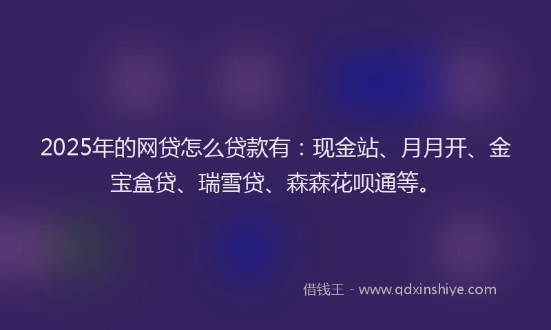 2025年的网贷怎么贷款有：现金站、月月开、金宝盒贷、瑞雪贷、森森花呗通等。