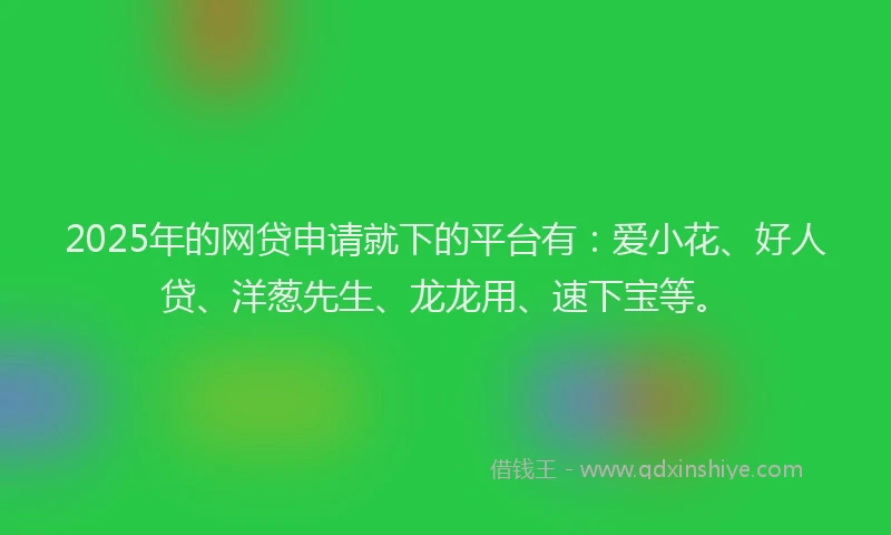 2025年的网贷申请就下的平台有：爱小花、好人贷、洋葱先生、龙龙用、速下宝等。