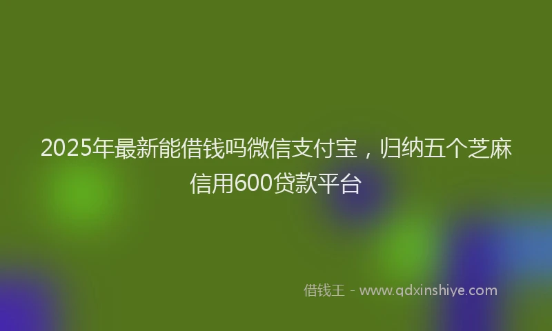 2025年最新能借钱吗微信支付宝，归纳五个芝麻信用600贷款平台
