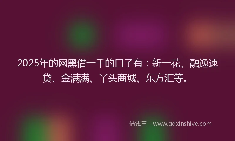 2025年的网黑借一千的口子有：新一花、融逸速贷、金满满、丫头商城、东方汇等。