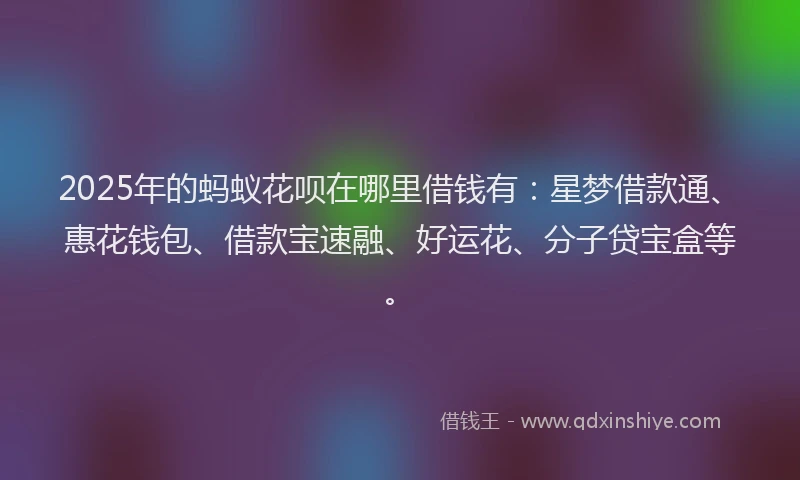 2025年的蚂蚁花呗在哪里借钱有：星梦借款通、惠花钱包、借款宝速融、好运花、分子贷宝盒等。
