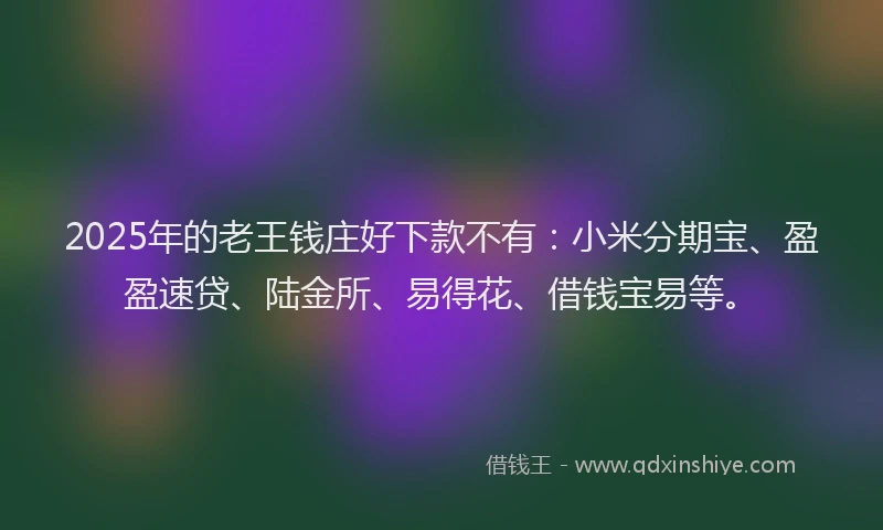 2025年的老王钱庄好下款不有：小米分期宝、盈盈速贷、陆金所、易得花、借钱宝易等。