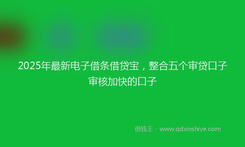 2025年最新电子借条借贷宝，整合五个审贷口子审核加快的口子