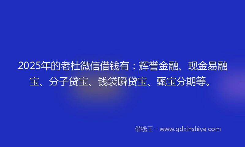 2025年的老杜微信借钱有：辉誉金融、现金易融宝、分子贷宝、钱袋瞬贷宝、甄宝分期等。