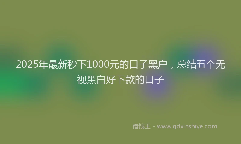 2025年最新秒下1000元的口子黑户，总结五个无视黑白好下款的口子