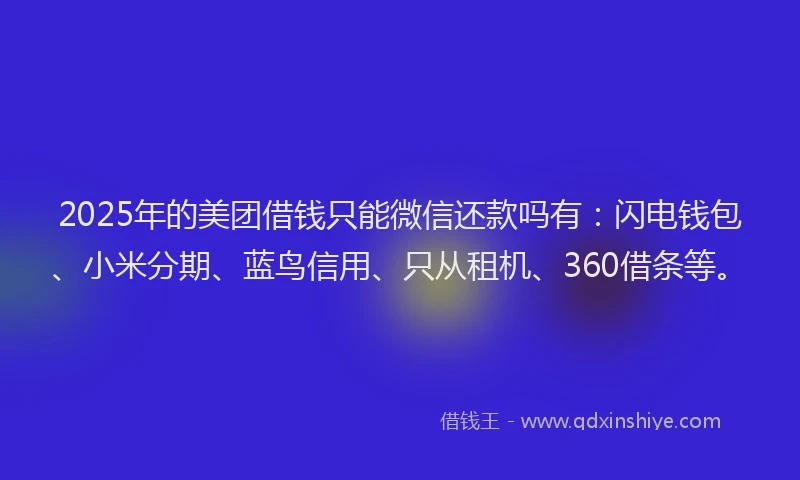 2025年的美团借钱只能微信还款吗有：闪电钱包、小米分期、蓝鸟信用、只从租机、360借条等。
